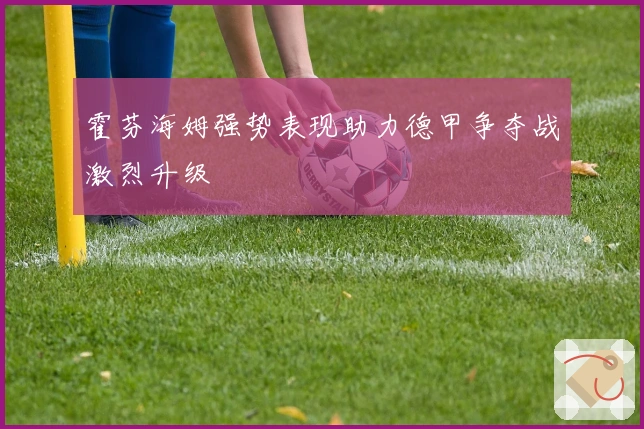 霍芬海姆强势表现助力德甲争夺战激烈升级