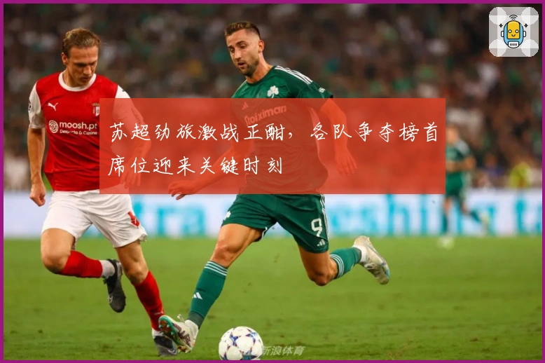 苏超劲旅激战正酣，各队争夺榜首席位迎来关键时刻